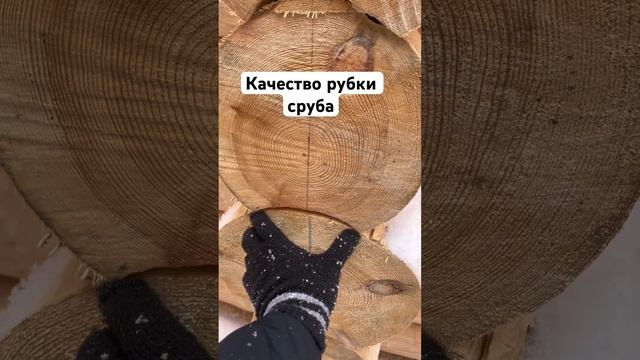 23 ноября 2023 г.