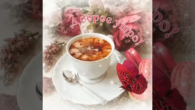 Утренний ноябрьский привет! смотреть онлайн