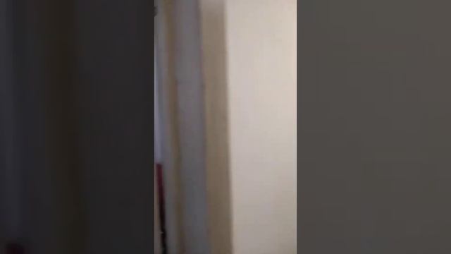 видеопроверка квартиры авито смотреть онлайн