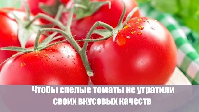 Список продуктов, которые хозяюшки обычно хранят неправильно смотреть онлайн