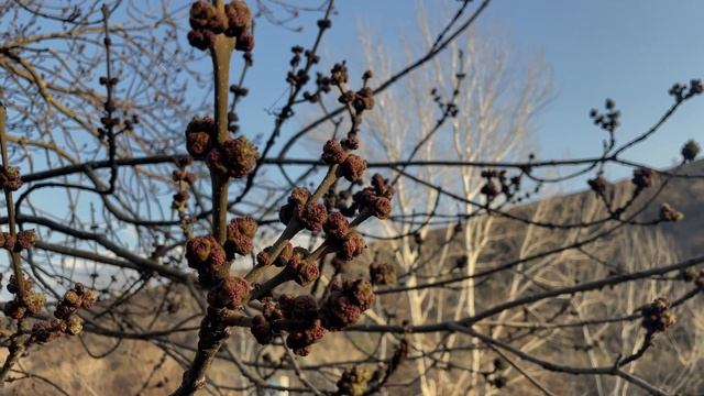 ТБИЛИСИ: Черепашье озеро, встречи с друзьями и день рождения | неопубликованное смотреть онлайн