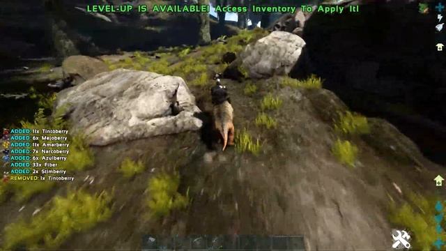 The Best Dino's To Tame On The Island - Ark: Survival Evolved - Quick Guides - 2021 смотреть онлайн