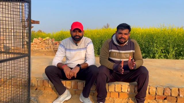 टाइगर2 का बचपन ll Bully Kutta Tiger2 ll Bully Kutta Vlog ll Dogs Video ll Bully Kutta Import Export смотреть онлайн
