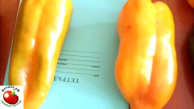 Лучшие сорта сладкого перца для Урала смотреть онлайн