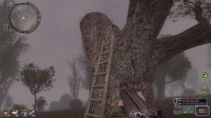 сталкер Возвращение в зону Голоса из тоннеля найти контейнер правильное прохождение