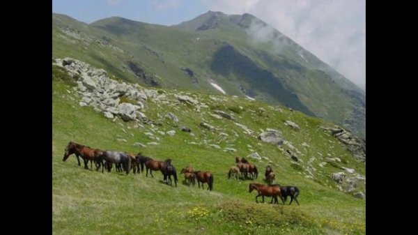 Navali se Šar Planina