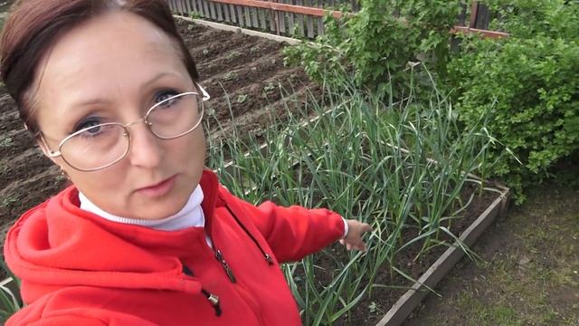 6 соток 30 мая 2021 Мама вернулась. Замена штапика. Окучила картошку. Отремонтировала мельницу. смотреть онлайн
