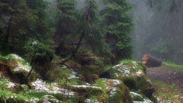 То ли день, то ли ночь ...авт и исп. песни С. Гвоздика смотреть онлайн