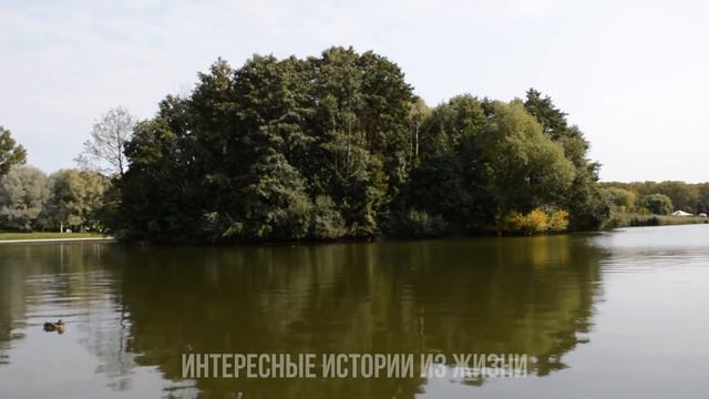 НЕ СЛАЗИЛ С НЕЁ ВСЕ ВЫХОДНЫЕ. Измена жены. Жизненные истории и аудио рассказы смотреть онлайн