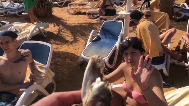 Египет 2021.Dreams Beach Resort. смотреть онлайн