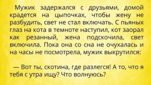 Анекдоты про котов. Лучшие анекдоты смешные