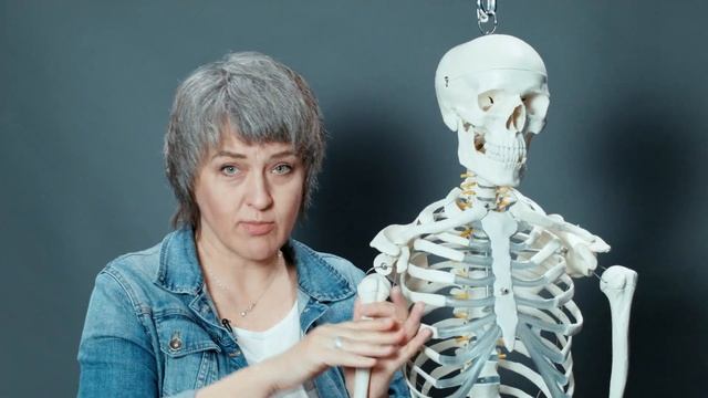 Без чего наш скелет лишь мешок костей? Что держит тело? смотреть онлайн