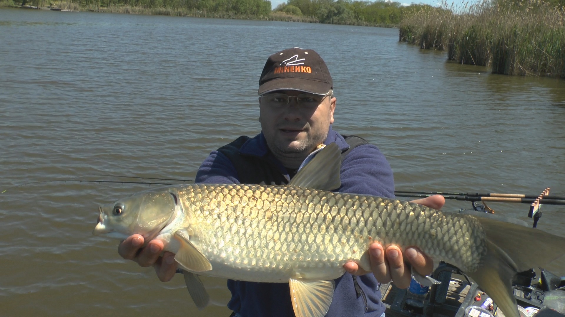 Карп и амур на фидер в мае. Рыбалка на карпа в мае на фидер. Ловля амура весной на фидер смотреть онлайн