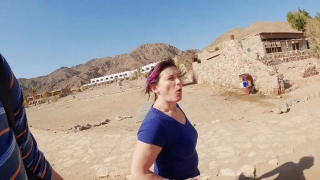 ЕГИПЕТ | Dahab | Сафари | Дайвинг | ЧАСТЬ 2/4 #egypt #dahab #2021