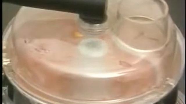 Вертикальный измельчитель/миксер_Hällde VCM41_ROVABO