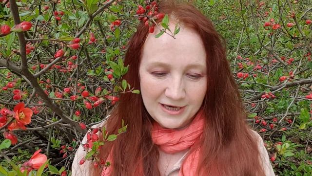 Душа и тело смотреть онлайн