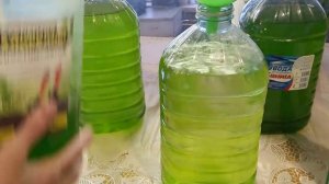 ВЫРАСТИТЬ ХЛОРЕЛЛУ В ДОМАШНИХ  УСЛОВИЯХ!!! ВСЕ ЭТАПЫ!!! 1