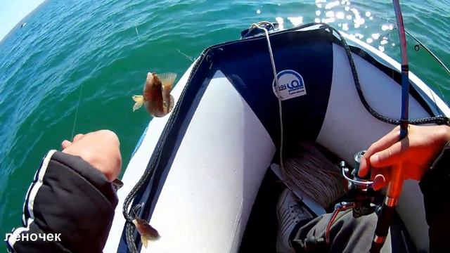 Рыбалка на море, тавайза смотреть онлайн