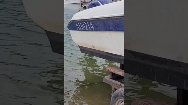 Открыли свой шестой водно-моторный сезон! #лодка #катер #море #байкал #лето2023 #жизнь смотреть онлайн