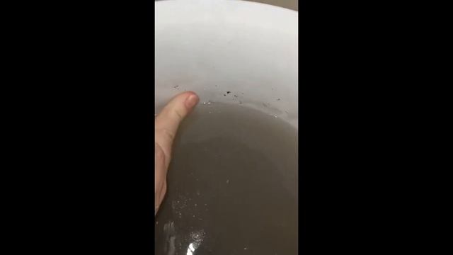 Clean house от Eco Life. Мойка окна смотреть онлайн