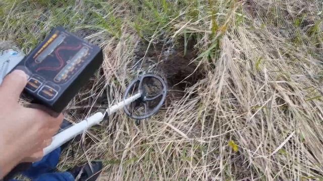 Металлоискатель DetectoScan MD-D2. В густой траве скрывалась монета. смотреть онлайн