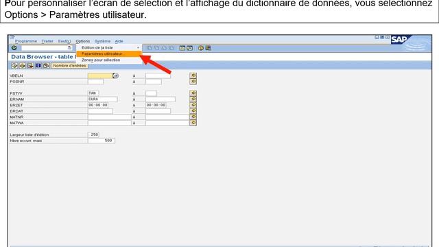 GU SAP SE16 Data Browser смотреть онлайн