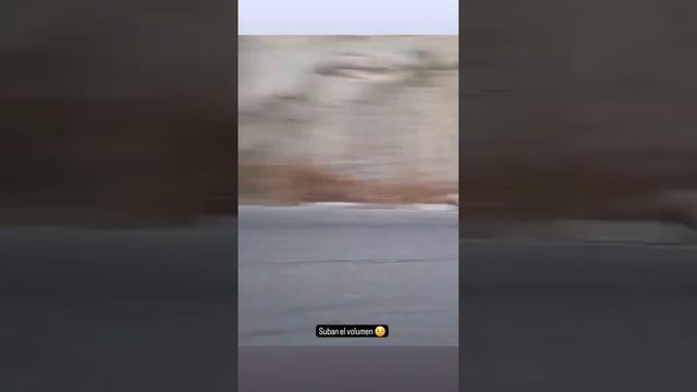 Una delicia escuchar a la Yamaha MT-07 смотреть онлайн