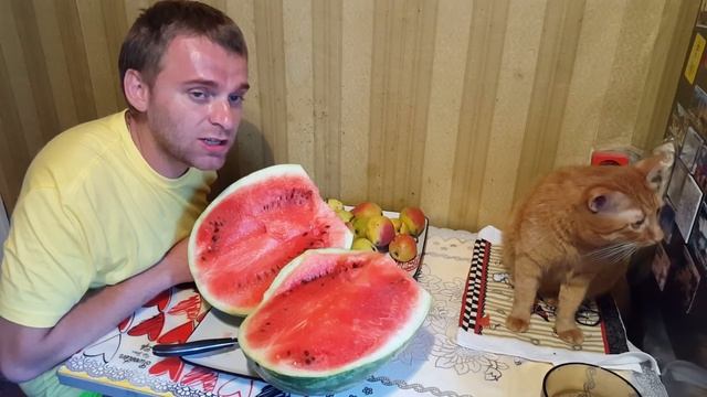 ЧТО ЕСЛИ ПОЖАРИТЬ И СВАРИТЬ АРБУЗ? смотреть онлайн