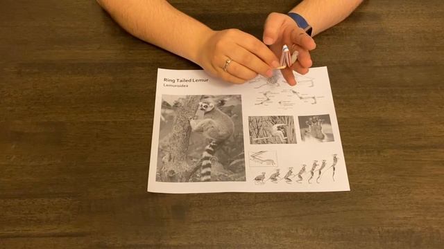 Sketch Models смотреть онлайн