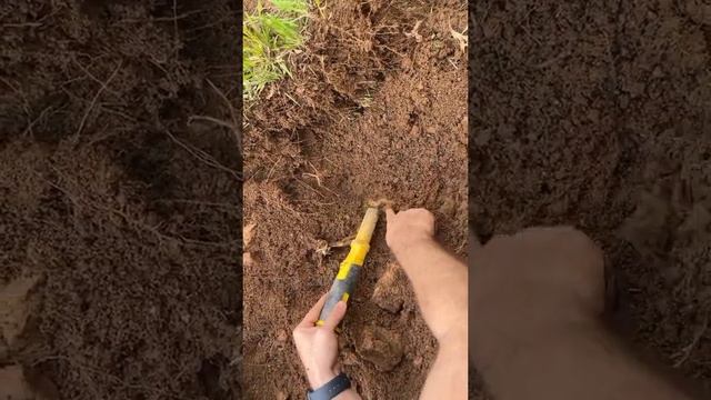 We found treasure with APRON TOUCH PLUS field scanning device Dedektör #metaldetector #treasurehunt смотреть онлайн