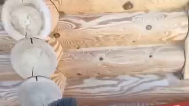 Шлифовка сруба из оцилиндрованного бревна