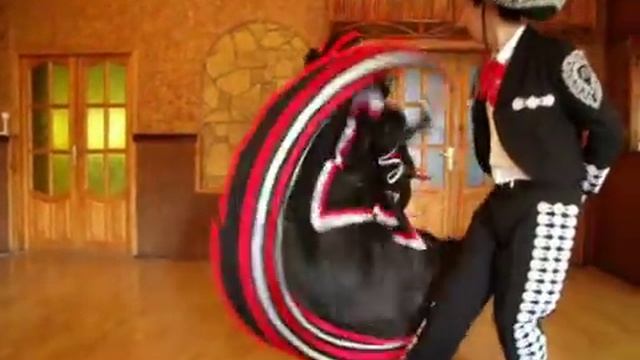 Мексиканская группа "mariachi mexico" смотреть онлайн