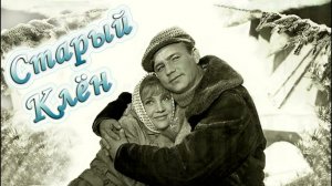 "Старый клён" кавер Шляхов Владимир