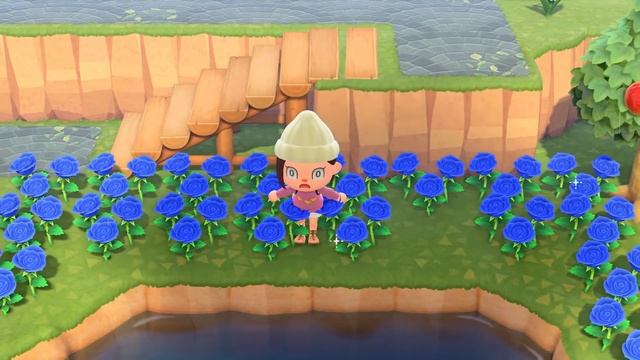 Katrina in New Horizons? | Animal Crossing New Horizons смотреть онлайн