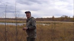 Приманка на налима, ставим тычки, ловим хорошую рыбу