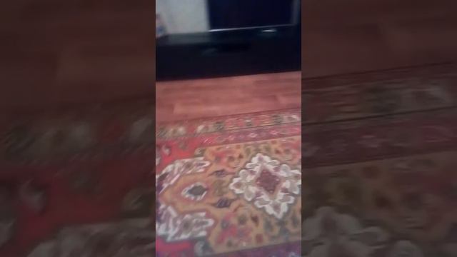 У нас открылся новый канал коты уходят от нас смотреть онлайн