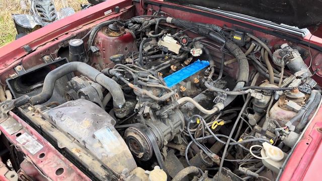 I bought a cheap 1989 Mustang 5.0 5 Speed Notch!!! Did I get a good deal or did I get hosed?? смотреть онлайн