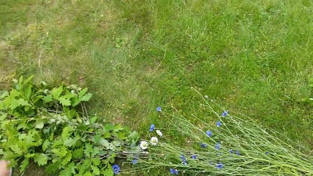 В Этнографический музее Риги! смотреть онлайн