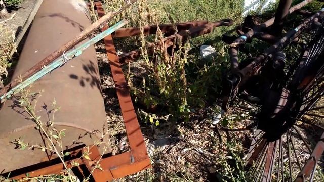 Сбор тыквы уралом смотреть онлайн