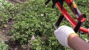 ОБЗОР//РУЧНОЙ РОТАЦИОННЫЙ КУЛЬТИВАТОР "САТУРН"//МОЯ ЛЮБИМАЯ УСАДЬБА