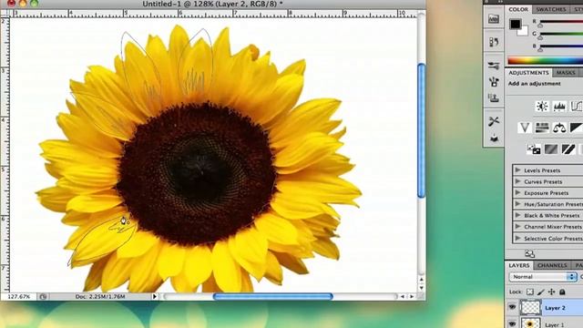 How to Draw a Flower Stencil in Photoshop : Adobe Photoshop Tips смотреть онлайн