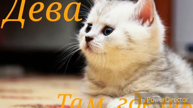 Какая ты песня по знакам зодиака 2 смотреть онлайн