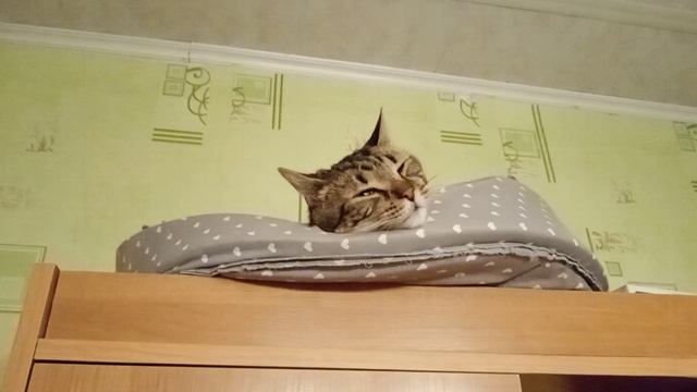 Welcome на наш канал.