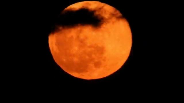 Moon Rising by Linda March 28 2021 смотреть онлайн