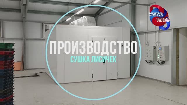 Производство по переработке грибов лисичек и других дикоросов. Сушка гриба. Устройство производства. смотреть онлайн