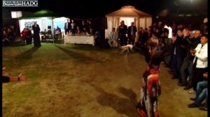 Мощной Ловзар. Чеченская свадьба 2023. Парень и Девушка красиво танцуют на свадьбе