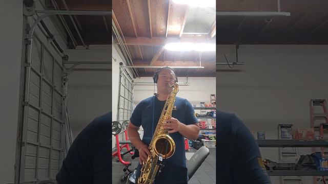 I'm not the only one Sam Smith tenor saxophone cover смотреть онлайн