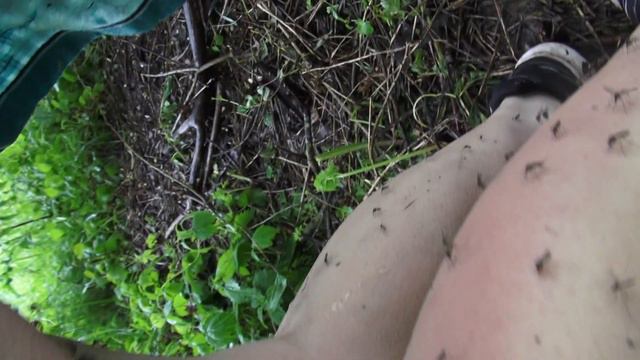 КОМАРЫ ПОМОГАЮТ ХУДЕТЬ)) ВОТ ТАКИЕ ЭКСТРИМ ПОХОДЫ В ЛЕС У МЕНЯ БЫВАЮТ смотреть онлайн