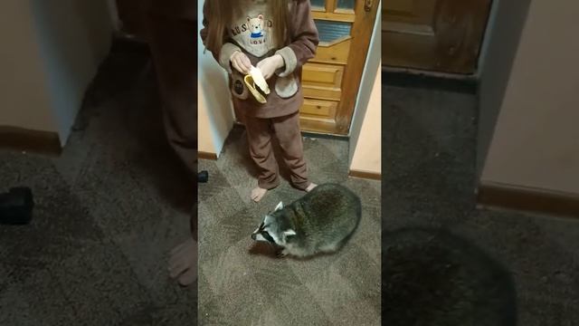 Как есть банан, если рядом Алиса и Митя.... смотреть онлайн