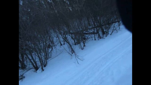 Трейл забег Лука Snow Trail II 70 км (полный)